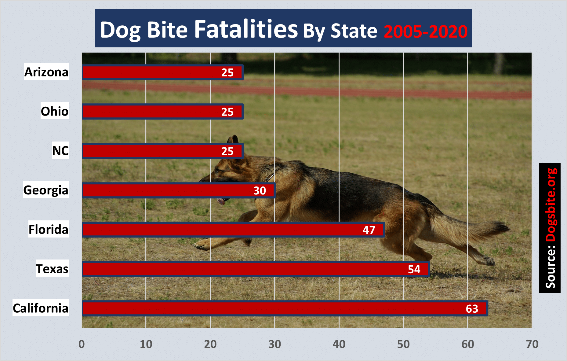 California reported the most fatal dog bite incidents between 2005 and 2020 out of all states. Texas and Florida followed. 