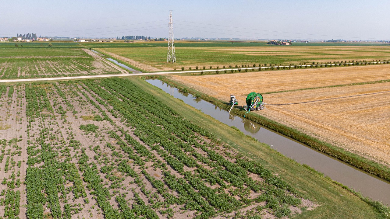 Farm field with water canal