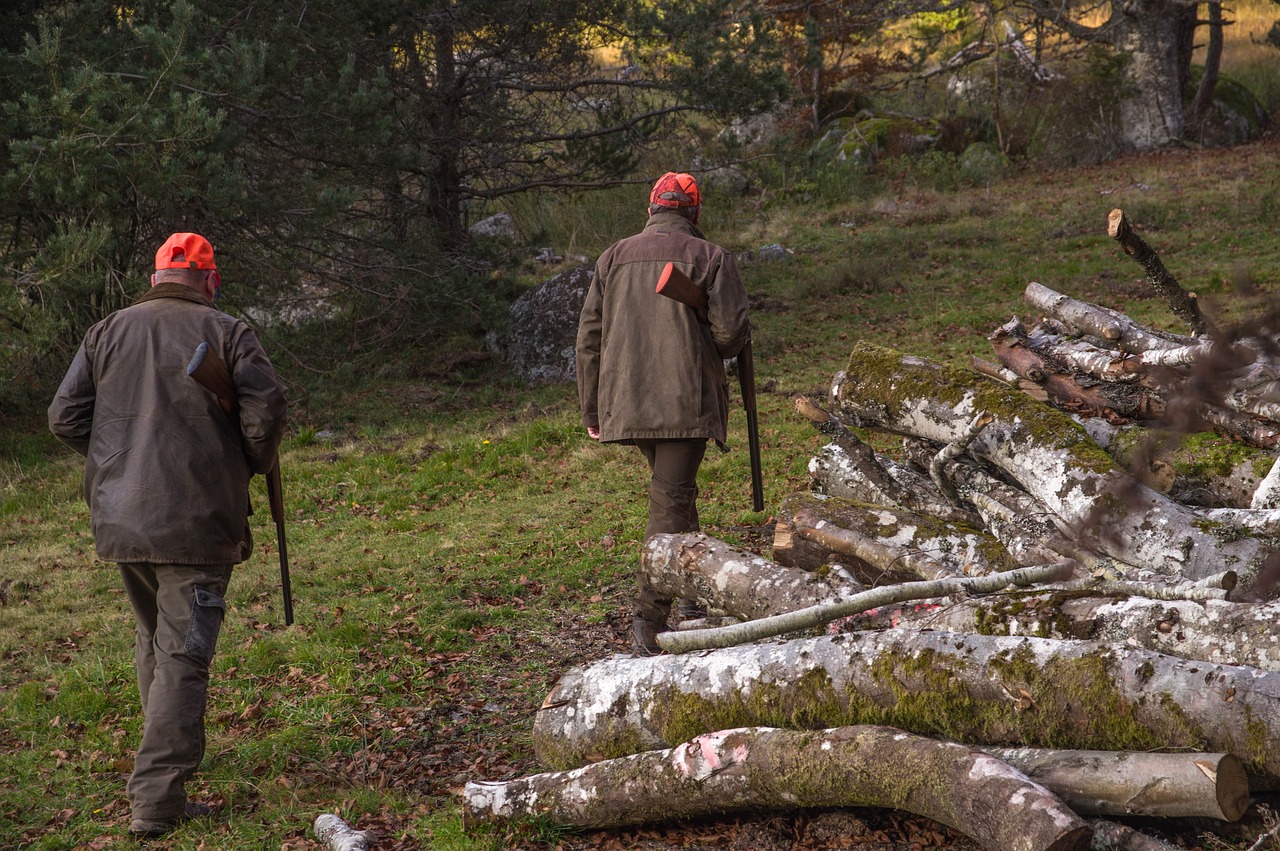 Two hunters in long jackets and brightly colored hats carry rifles into the woods